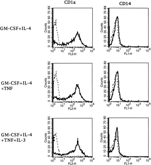 Fig. 7. Phenotype of DCs generated with the four-cytokine combination. After 7 days of culture, DCs were stained with CD1a and CD14 MoAbs. Controls (dotted lines) were isotype-matched irrelevant MoAbs.