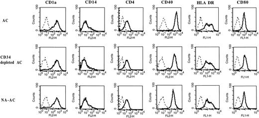 Fig. 8. Cell-surface phenotype of cells stained after 7 days of culture with GM-CSF and IL-4. This representative analysis out of five shows no difference between AC, CD34− AC, and NA-AC derived DCs either in lineage (CD4, CD14, CD1a) or in costimulatory antigen (CD40, MHC class II, CD80) expression. Controls (dotted lines) were isotype-matched irrelevant antibodies.