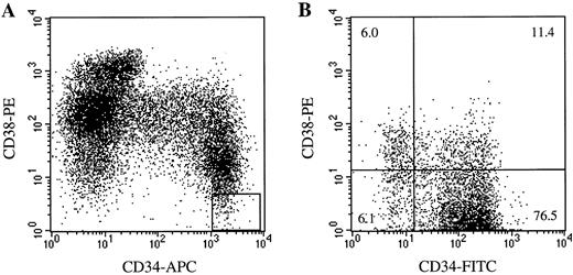 Fig. 1. The phenotype of freshly isolated and cultured CD34++CD38−Lin− cells. (A) The electronic gate on the Lin− cell population used to define the CD34++CD38−Lin− cells is shown. (B) The phenotype of CD34++CD38−Lin− cells cultured for 2 days in the presence of IL-3, IL-6, GM-CSF, KL, and FL, and additional 3 days on the packaging cells in the presence of same cytokine combination is shown. Most of the cells retain the CD34+CD38− phenotype.