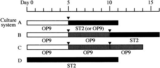 Fig. 1. Overview of the culture systems used in this study. Time schedules of four types of cultures, culture systems A, B, C, and D, are shown schematically. The stromal cell lines used are indicated under the each column. (□), induction culture; (), expansion culture; (▪), osteoclast culture; (▾), passage.