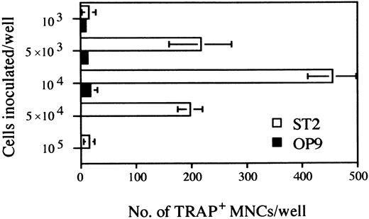 Fig. 3. Determination of the optimal cell density of the inoculated D3 ES cells for osteoclastogenesis on ST2 and OP9 stromal cell lines. The duration of cultures was as outlined in culture system A of Fig 1. The indicated numbers of cells obtained at day 5 were seeded on ST2 or OP9 monolayers grown on 24-well plates. After 6 days TRAP+ MNCs were counted. Each column represents means ± SD of triplicate cultures.