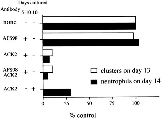 Fig. 6. Inhibitory effect of anti–c-kit antibody (ACK2) on hematopoiesis. D3 ES cells were inoculated onto OP9 monolayers in the presence or absence of the antibody, according to culture schedule C of Fig 1. At day 10 of the culture, 105 cells were passaged and then clusters of cells composed of more than 8 cells were counted at day 13 with a light microscope. Cells were obtained from the same culture at day 14, and number of neutrophils were counted as described in Materials and Methods. The data are presented as percentages of numbers of clusters or cells from the control experiments. Numbers representing 100% are 365 (clusters counted on day 13) and 107 (neutrophils on day 14). The data presented are representative of two separate experiments.