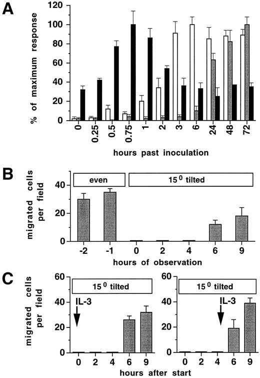 Fig. 4. Induction of migration but not adhesion requires previous contact with Fn. (A) Time course of induction of horizontal migration (□), migration on tilted surface (), or adhesion (▪). Ten thousand FDCP-mix cells were assayed as described in Materials and Methods on plates precoated with Fn (10 μg/cm2 ) and in 100 U/mL IL-3. Values are means ± SD from triplicate experiments. Absolute values of the maximum responses were: Migration on horizontal surface, 85 ± 8%; migration on tilted surface, 46 ± 4 per field; adhesion, 57 ± 9%. (B and C) Previous contact on Fn and plate tilting are required to induce migration, independently of cytokine concentration in the culture medium. Ten thousand FDCP-mix cells were inoculated into 96-well plates precoated with Fn, and incubated in the presence of 100 U/mL IL-3 in a horizontal position and tilted at time point zero (B), or kept at a tilted position from the start of the experiment in the presence of 100 U/mL IL-3 from time point zero or 4 hours as indicated (C). Results in (B) and (C) are given as migrating cells analyzed by video imaging at 100× original magnification. Results represent means ± SD of triplicate determinations.