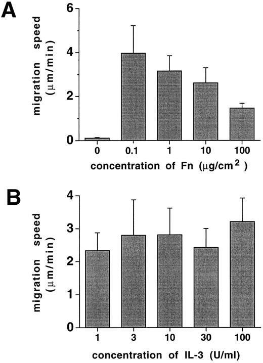 Fig. 7. Progenitor cell migration speed is a function of Fn concentration. Ten thousand FDCP-mix cells were inoculated into migration assays in 96-well plates as described in Materials and Methods and assayed at a 15° tilted position. Migrational movements of individual cells were analyzed by video microscopy for each experimental point, and the average speed was calculated. (A) Cultures at 10 U/mL IL-3, with varying Fn-coating concentrations as indicated, and (B) cultures precoated with 10 μg/cm2 Fn at varying concentrations of IL-3 as indicated. Results represent means ± SD of 6 to 8 determinations.