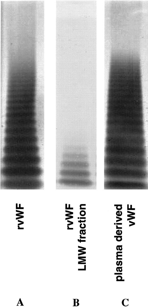 Fig. 1. Multimer composition of the three different human vWF preparations used in this study.