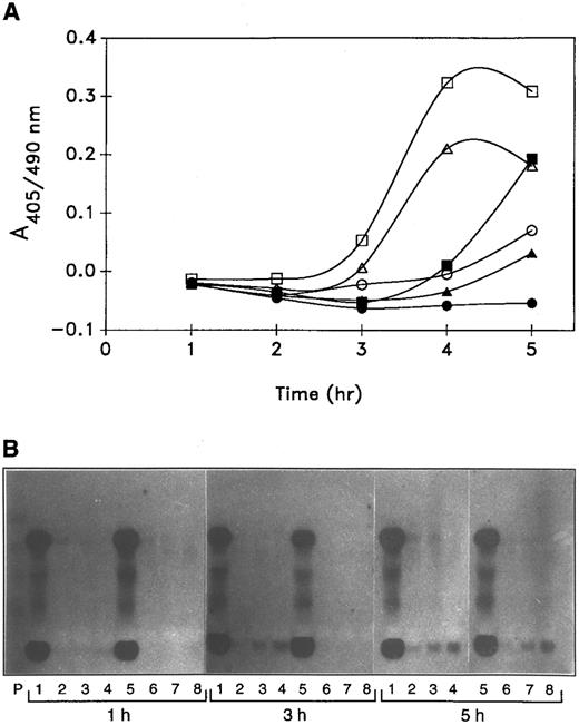 Fig. 6. Effect of cystatin on thrombin-stimulated plasminogen activation (A) and on the reactivation of platelet u-PA (B). (A) Platelets (3.5 × 108/mL) were incubated at 37°C with plasminogen, S2403, and thrombin at 2.5 U/mL (circles), 5 U/mL (triangles), or 10 U/mL (squares) in the absence (open symbols) or presence of 20 nmol/L cystatin (closed symbols) and assayed for plasmin activity. (B) Zymogram of the platelet incubation mixtures containing thrombin at 0,15 2.5 u/mL,26 5 u/mL,37 10 u/mL48 after 1, 3, or 5 hours of incubation in the absence 1-4 or presence5-8 of cystatin.
