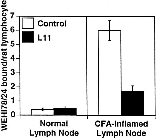 Fig. 2. L11 blocks monocytoid cell binding to inflamed PLN HEV. Binding of WEHI78/24 cells to normal and CFA-inflamed lymph nodes was assessed in modified Stamper-Woodruff frozen section assays: WEHI78/24 cells were mixed with internal control cells (rat mesenteric lymph node lymphocytes), preincubated with isotype matched control MoAb or with L11 (0.5 μg/106 cells), added to freshly cut frozen sections and incubated for 30 minutes at 5°C under constant rotation. The number of WEHI78/24 bound per rat internal standard cell in greater than 30 HEV on each of quadruplicate sections was determined by microscopy. The mean and standard error of three independent experiments are pooled and presented.