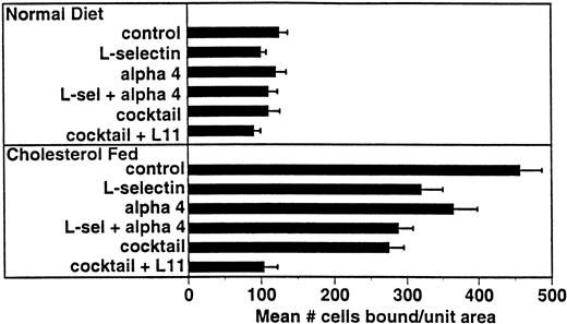 Fig. 5. L11-mediated blocking of WEHI78/24 binding to intact aortic endothelium is additive with partial blocking by anti–L-selectin and anti-α4. Adhesion assays were performed as described in Fig 3 using anti–L-selectin MoAb MEL-14, anti-α4 MoAb PS/2, a combination of these two antibodies, a “cocktail” of MEL-14, PS/2 and anti-β2 integrin MoAbs M1/70 and FD344.1 or the “cocktail” plus L11. Bound cells were counted as described for Fig 3. Shown are the mean and standard error of multiple (four to six) independent segments from two control or three cholesterol-fed rabbits from a single experiment in which all conditions were examined in parallel. Each condition (compared with control) was repeated in two to four independent experiments with similar results.
