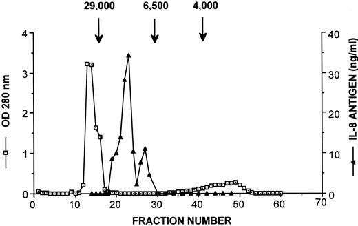 Fig. 4. Molecular weight estimate of fibrin induced IL-8 by gel filtration chromatography. The 24-hour fibrin conditioned media were concentrated 20× by lyophilization, and fractionated by applying to a gel filtration P-30 column which has a fractionation range between 2.5 to 40 kD. The column was previously calibrated with protein standards. Samples were eluted under physiologic salt and pH conditions. Protein concentration was determined by spectrophotometer at 280 nm and IL-8 antigen was assayed by RIA from each fraction. The result was expressed as mean of IL-8 ng/mL ± SD of a duplicate sample and was representative of 2 separate experiments. One major IL-8 peak appeared with molecular weight range between 6,500 to 29,000 d.