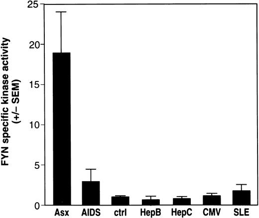 Fig. 4. Fyn-specific kinase activity is elevated in patients with asymptomatic HIV infection. The study population consists of patients with asymptomatic (Asx) HIV infection (n = 14), symptomatic AIDS (AIDS) (n = 4), normal, HIV-seronegative controls (ctrl) (n = 47), patients with chronic hepatitis B (HepB) infection (n = 6), patients with chronic hepatitis C (HepC) infection (n = 7), normal donors with prior exposure to CMV (n = 7), and patients with systemic lupus erythematosis (SLE, n = 6). PBMC were isolated from whole blood and lysate from 5 × 106 cells immunoprecipitated with antibodies specific to p59fyn(T). Immune-complex kinase assays, Western immunoblotting of Fyn protein, and calculation of the relative specific kinase activity of Fyn was done as described in Fig 3. The results represent the mean Fyn specific kinase activity ± SEM.