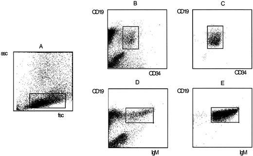Fig. 1. Staining of fetal BM mononuclear cells with fluorochrome-labeled monoclonal antibodies and sort criteria and purity of pro–B cells and sIgM+ B cells. Pro–B cells were defined by forward scatter (fsc) and sidescatter (ssc) properties (A) and the simultaneous expression of CD34 and CD19 (B). Mature B cells were defined by fsc and ssc properties (A) and the coexpression of CD19 and surface IgM (D). The purity of sorted pro–B (C) and B (E) populations was determined by rerun analysis on a FACSscan.