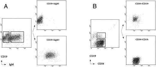 Fig. 2. Sort criteria and cell purity analysis of adult BM CD19+/sIgM+ B cells and CD19+/sIgM− pre–B cells obtained from the immunomagnetically separated CD34− fraction (A) and CD34+/CD19+ pro–B cells and CD34+/CD19− non–B-lineage progenitor cells obtained from the immunomagnetically separated CD34+ fraction (B).