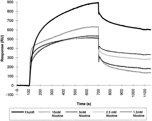 Fig. 6. SPR of fetal calf muscle nicotinic receptor binding to HIV-1 gp120. Triton-extracted membranes from fetal calf muscle (FAchR) were diluted in 10 mmol/L acetate buffer, pH 6.5, 150 mmol/L NaCl to a concentration of 0.5 nmol of 125I-α–bgt bound/liter and then injected at a flow rate of 5 μL/minute over a matrix where HIV-1 gp120 had been covalently immobilized. The same sample was injected in the presence of increasing concentrations of nicotine. Regeneration of the matrix was obtained by injection of 10 mmol/L NaOH at the end of each cycle.