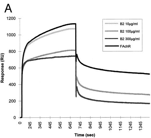 Fig. 7. Inhibition of fetal calf muscle nicotinic receptor binding to HIV-1 gp120 by the B2 synthetic peptide. (A) Increasing amounts (10, 100, and 300 μg/mL) of the synthetic peptide B2 were mixed with the diluted detergent-solubilized receptor (0.5 nmol of 125I-α–bgt bound/L). Aliquots of each mixture were injected at a flow rate of 5 μL/min in a flow cell where gp120 had been previously covalently immobilized. Regeneration of the matrix was obtained by injection of 10 mmol/L NaOH at the end of each cycle. (B) Identical concentrations of a peptide (T18) of the same lenght, but with a random sequence, were injected in identical experimental conditions.