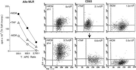 Fig. 1. Contribution of TNF-α in the maturation of dendritic cells. T cell–depleted blood mononuclear cells were cultured for 7 days in GM-CSF/IL-4 as described in Materials and Methods. From day 7 to 11 they were cultured in conditioned medium (MCM) or no additional supplementation (−MCM). TNF-α (50 ng/mL) was added every other day from days 0 to 8. On day 11, the cells were analyzed for CD83 expression. Residual cells were washed twice and returned to culture for 3 more days in RPMI containing 1% plasma. On day 14 the cells were tested for T cell–stimulatory capacity in the allo MLR (left panel) and reevaluated for CD83 expression. The recovered cell yields from a starting volume of 40 mL of blood are given in the upper right hand corner of each FACS panel. The results are representative of two experiments.