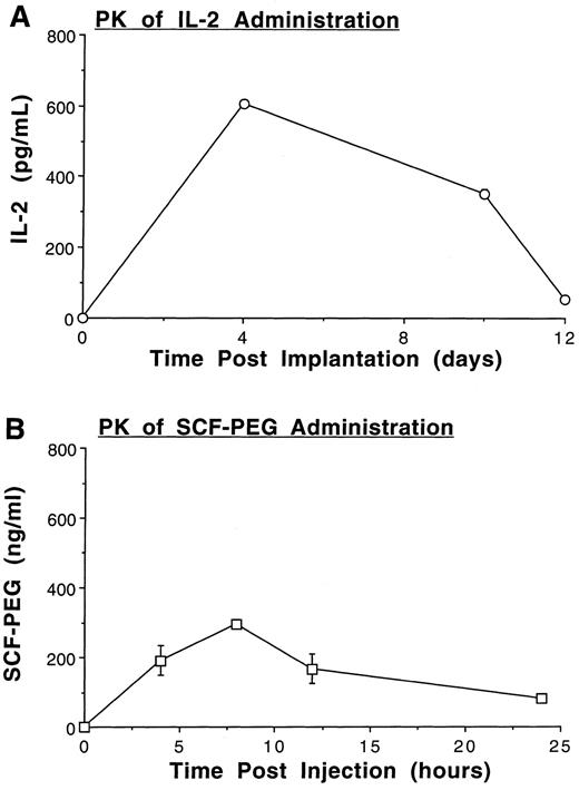 Fig. 1. Pharmacokinetics of rhIL-2 and rhSCF-PEG treatment in mice. (A) 1 × 104 IU per day rIL-2 was delivered by constant subcutaneous infusion via Alzet osmotic pump, and measurement of serum IL-2 was performed by ELISA on days 0, 4, 10, and 12 after implantation. (B) PK of rhSCF-PEG administered as a single i.p. injection of 100 μg/kg body weight. Serum levels were measured by ELISA 0, 4, 8, 12, and 24 hours after injection. Results for each cytokine represent the mean ± SEM obtained from two mice with each measurement performed in duplicate.