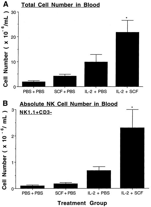Fig. 4. SCF enhances IL-2–mediated expansion of NK cells in the blood. After eight weeks of treatment absolute leukocyte number per mL in blood was obtained (A) and then multiplied by the percent NK1.1+CD3− NK cells determined by flow cytometry to yield the absolute number of NK cells per mL of blood (B). There were 4.8 ± 0.8% NK1.1+CD3− cells in the control group, 4.5 ± 0.3 in the SCF group, 10.3 ± 2.8% in the IL-2 group, and 9.8 ± 1.1% in the SCF plus IL-2 group. Results represent the mean absolute number from 5 to 6 mice in each treatment group ± SEM. Statistical significance comparing the SCF plus IL-2 group to the IL-2 alone group are indicated by the asterisk, and represent P < .05 (A and B).