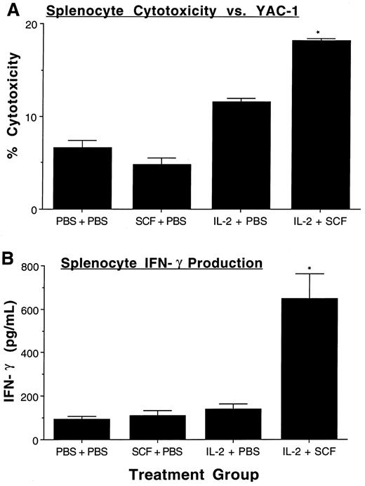 Fig. 5. Functional assessment of NK cell expansion. Fresh single cell suspensions of unfractionated splenocytes were obtained from mice in each of the indicated treatment groups (n = 5 to 6 per group) and then assayed for NK cytotoxicity against YAC-1 targets (200:1 E/T ratio) in a standard 4 hour 51Cr release assay, without the addition of exogenous cytokines (A). Unfractionated splenocytes were also cultured (2 × 105 cells per well) in rhIL-2 plus rmIL-12 for 72 hours, after which cell-free culture supernatants were harvested and assayed for murine IFN-γ by ELISA (B). Results represent the mean percent cytotoxicity (A) or IFN-γ production (B) ± SEM. For both assays, the percentage NK1.1+CD3− cells were 2.9 ± 0.2% NK1.1+CD3− cells in the control group, 1.8 ± 0.3% in the SCF group, 1.8 ± 0.1% in the IL-2 group, and 3.2 ± 0.2% in the SCF plus IL-2 group. The SCF plus IL-2 group had a significantly greater increase in percent NK1.1+CD3− cells compared to the IL-2 alone group (P < .005). Statistical significance comparing the SCF plus IL-2 group to the IL-2 alone group are indicated by the asterisk, and represent P ≤ .0005 (A), and P ≤ .01 (B).