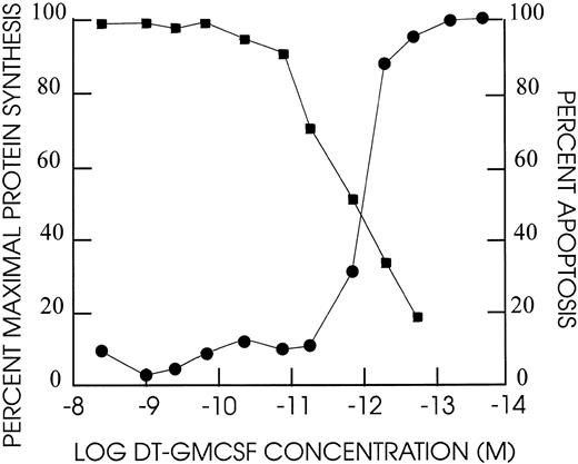Fig. 4. Cell cytotoxicity of DT388–GM-CSF on TF1 human leukemia cells. Cells were exposed at the dilutions indicated for 48 hours at 37°C/5% CO2 . Incorporation of 3H-leucine was assayed after an additional 4 hours incubation and compared against untreated cell incorporation. The percent apoptotic nuclei based on DAPI staining were determined after 48 hours for different dilutions of DT388-GMCSF. (•) % maximal protein synthesis; (▪) % apoptosis.
