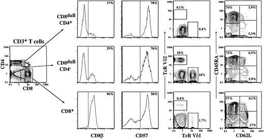 Fig. 8. The phenotype of the CD8dull subsets determined by eight-color flow cytometry. Shown is one subject who was treated for HD 22 years before analysis and has elevated levels of both the CD8dullCD4+ subset (top panels) and the CD8dullCD4−subset (middle panels). The CD8bright subset from this subject is shown in the lower panels for comparison. The panel on the left has been gated first on lymphocytes using forward and side scatter and then on T cells using CD3. The gates for the CD8dull and CD8bright subsets are shown in this panel. Surface marker expression measured from three different eight-color antibody combinations are shown (see Materials and Methods). The percentages of cells within the indicated subset that express the marker are shown. Bivariate data is shown as 5% probability contour plots with outlying events shown as dots.