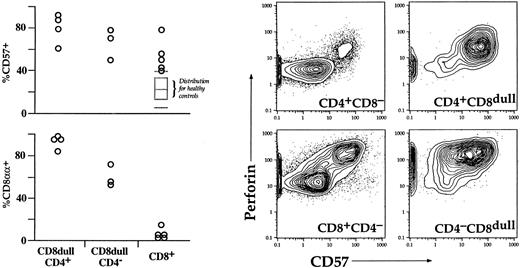 Fig. 9. Expression of the CD8αα homodimer, CD57, and perforin on CD8dull subsets. (Left panels) Shown are the percentages of cells in either the CD8dullCD4+, CD8dullCD4−, or the CD8bright subsets that express CD8αα homodimers or CD57. Subjects had been treated for HD 3 to 25 years before analysis. Four had elevated levels (<19/μL) of the CD8dullCD4+ cells; three had elevated levels (<61/μL) of the CD8dullCD4−cells; two of these subjects had elevated levels of both subsets. The gray box indicates the median and interquartile range for the expression of CD57 on CD8bright cells in a group of 19 healthy controls. The gray bars below and above this box are the 10th and 90th percentiles of the distribution. (Right panels). T cells from two healthy individuals who have enough CD4+CD8dull (top plots) or CD4−CD8dull (bottom) were stained for intracellular perforin in addition to the immunophenotyping stains. The CD8dull populations exhibit a high degree of perforin, including the CD57− cells within the CD4−CD8dull population. These data suggest that the CD8dull cells may have cytotoxic function in the body. The perforin expressing (CD57+) CD4+ T cells in the CD8− fraction were entirely negative for CD8, ie, they are not contaminating cells from the CD8dull fraction and represent yet another phenotypically distinct subset of cells.