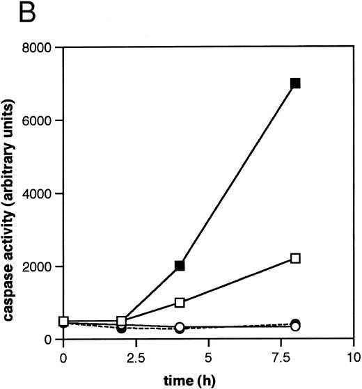 Fig. 2. ICE family protease activation in CLL apoptosis. (A) Cleavage of PARP. Cells were incubated for 16 hours in the absence or presence of 10 μmol/L methylprednislone with or without 25 mmol/L zAPFcmk or 25 mmol/L zVADfmk, and PARP integrity was assessed by immunoblotting. Arrows indicate positions of intact PARP (p116) and the 85 kD caspase-generated PARP fragment (p85). Results from one experiment (patient 22) representative of four independent replicates with different patient isolates. (B) Measurement of caspase activity. Cells were incubated for the times indicated in the absence or presence of 10 μmol/L methylprednisolone, and hydrolysis of the ICE protease substrate DEVD-AMC was measured in a spectrofluorimeter as described in Materials and Methods. Results from two representative patient isolates (not included in Table 1) analyzed on the same day. Levels of DNA fragmentation were measured in parallel (16 hours): (□), patient A, control — 2%; (▪), MPS — 30%; (○), patient B, control — 9%; (•), MPS — 16%. Similar results were observed in three other patient isolates.