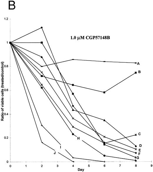 Fig. 4. Leukemia cell lines exposed to tyrosine kinase inhibitors. (A) BCR-ABL–negative cell lines exposed to 1.0 μmol/L CGP57148B (A, HL60; B, U937; C, KG1; D, RPMI 8226; E, Jurkat). (B) BCR-ABL–positive cell lines exposed to 1.0 μmol/L CGP57148B (A, KCL22; B, SD1; C, KU812; D, LAMA84; E, KYO1; F, TOM1; G, K562; H, BV173; I, EM3; J, AR230). (C) HL60 (A), U937 (B), Jurkat (C), KG1 (D), SD1 (E), RPMI 8226 (F), and KCL22 (G) exposed to 10 μmol/L CGP57148B. (D) Exposure to 10 μmol/L AG490 and 10 μmol/L AG879.