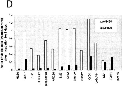 Fig. 4. Leukemia cell lines exposed to tyrosine kinase inhibitors. (A) BCR-ABL–negative cell lines exposed to 1.0 μmol/L CGP57148B (A, HL60; B, U937; C, KG1; D, RPMI 8226; E, Jurkat). (B) BCR-ABL–positive cell lines exposed to 1.0 μmol/L CGP57148B (A, KCL22; B, SD1; C, KU812; D, LAMA84; E, KYO1; F, TOM1; G, K562; H, BV173; I, EM3; J, AR230). (C) HL60 (A), U937 (B), Jurkat (C), KG1 (D), SD1 (E), RPMI 8226 (F), and KCL22 (G) exposed to 10 μmol/L CGP57148B. (D) Exposure to 10 μmol/L AG490 and 10 μmol/L AG879.