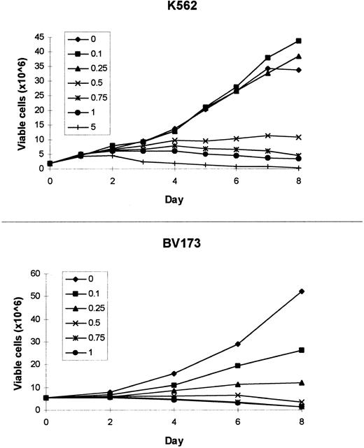 Fig. 5. Survival of BV173 and K562 cells incubated with graded concentrations of CGP57148B by time.