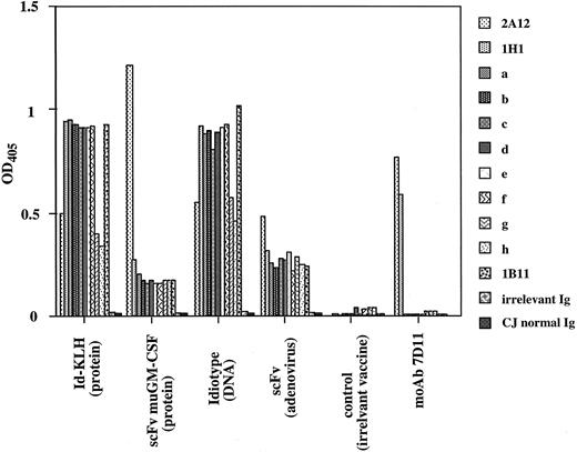 Fig. 2. Reactivity of tumor-derived Id proteins with the treatment MoAb 7D11 and with sera from immunized mice. Sera from individual mice were absorbed against polyclonal human Ig and on normal Ig from patient C.J. The absorbed sera were then reacted at a final dilution of 1:50 in 2% BSA/PBS with the 7D11-idiotope–positive proteins (2A12 and 1H1), with mutated 7D11-idiotope–negative Id variants (1B11 and a to h), and with class-matched irrelevant human Ig or with C.J. normal Ig. Bound murine Ig was detected with HRPO-conjugated goat anti-murine IgG Abs (human-absorbed). The mean OD at 405 nm per vaccine group of 5 mice is given for each Id protein. Reactivity with the treatment MoAb 7D11 controlled for the presence of the specific idiotope in Id protein 2A12 and 1H1 and its absence in the Id variants a to h, 1B11, and the human control Igs. Sera from mice immunized with irrelevant Igs were negative in this assay.