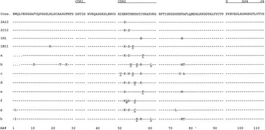 Fig. 5. Protein sequence of the VH of Id proteins derived from the original and the relapsed tumor. Amino acids were deduced from DNA sequences of the respective clones and compared against the previously published consensus sequence.10 Dashes in the sequence indicate identity with the consensus sequence, and differences are indicated by single letters. X indicates undetermined amino acids. Positions of the CDR are marked. Changes in CDR2 thought to be critical for the loss of binding to treatment antibody 7D11 are underlined twice.