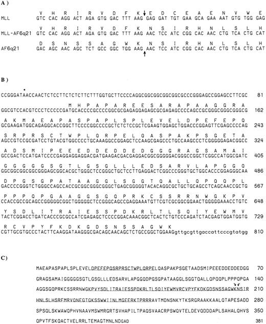 Fig. 3. (A) Nucleotide sequence and predicted amino acid sequences of fused MLL-AF6q21 cDNAs. Fusion point is shown by arrows. (B) Genomic sequence surrounding exon 1 of AF6q21. The deduced protein is shown above the sequence. The upstream in-frame stop codon is shown by an asterisk. The longest AF6q21 cDNA isolated from the K562 cDNA library starts at nucleotide 90. Further upstream sequences are of genomic origin. Intronic sequences downstream of the putative splice site appear as lowercase letters. (C) Predicted AF6q21 protein starting at the second in-frame ATG. The NH2 region conserved with AFX and FKHR and the FH domain are underlined. The arrows border the fusion point with MLL.