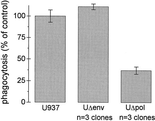 Fig. 3. Impairment of FcγR-mediated phagocytosis requires HIV-1 env. Ingestion of E-IgG was performed as described in Materials and Methods using U937 cells and three different UΔpol and UΔenv clones. Data represent the mean ± SEM (n = 6).