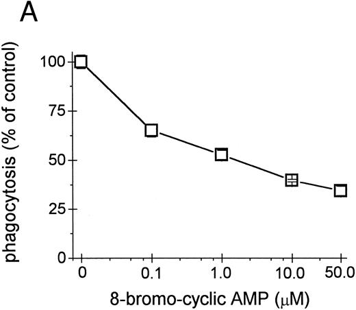 Fig. 4. cAMP inhibits Fcγ R-mediated phagocytosis in U937 cells. (A) Phagocytosis of E-IgG by U937 cells was performed after preincubation for 48 hours in the presence of the indicated concentrations of 8-bromoadenosine-3′:5′-cyclic-monophosphate and 40 nmol/L PMA. (B) cAMP levels in HIV-1–expressing U937 cells and controls. (C) cAMP levels in the indicated cell lines incubated for 48 hours in the absence or presence of the adenylate cyclase inhibitor, 2′-5′-dideoxyadenosine. (D) Phagocytosis of E-IgG by either U937 or UΔpol cells incubated for 48 hours in the absence or presence of the adenylate cyclase inhibitor, 2′-5′-dideoxyadenosine. Data represent the mean ± SEM of three to six experiments.