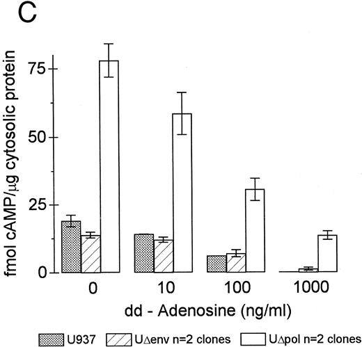 Fig. 4. cAMP inhibits Fcγ R-mediated phagocytosis in U937 cells. (A) Phagocytosis of E-IgG by U937 cells was performed after preincubation for 48 hours in the presence of the indicated concentrations of 8-bromoadenosine-3′:5′-cyclic-monophosphate and 40 nmol/L PMA. (B) cAMP levels in HIV-1–expressing U937 cells and controls. (C) cAMP levels in the indicated cell lines incubated for 48 hours in the absence or presence of the adenylate cyclase inhibitor, 2′-5′-dideoxyadenosine. (D) Phagocytosis of E-IgG by either U937 or UΔpol cells incubated for 48 hours in the absence or presence of the adenylate cyclase inhibitor, 2′-5′-dideoxyadenosine. Data represent the mean ± SEM of three to six experiments.