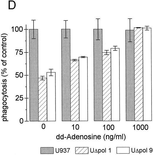 Fig. 4. cAMP inhibits Fcγ R-mediated phagocytosis in U937 cells. (A) Phagocytosis of E-IgG by U937 cells was performed after preincubation for 48 hours in the presence of the indicated concentrations of 8-bromoadenosine-3′:5′-cyclic-monophosphate and 40 nmol/L PMA. (B) cAMP levels in HIV-1–expressing U937 cells and controls. (C) cAMP levels in the indicated cell lines incubated for 48 hours in the absence or presence of the adenylate cyclase inhibitor, 2′-5′-dideoxyadenosine. (D) Phagocytosis of E-IgG by either U937 or UΔpol cells incubated for 48 hours in the absence or presence of the adenylate cyclase inhibitor, 2′-5′-dideoxyadenosine. Data represent the mean ± SEM of three to six experiments.