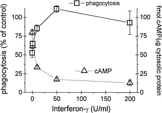 Fig. 6. Restoration of FcγR-mediated phagocytosis by IFN-γ. Phagocytosis of E-IgG by UΔpol cells and intracellular cAMP concentrations were measured as described in Materials and Methods after incubation for 48 hours with the indicated concentrations of recombinant IFN-γ. Data represent the mean ± SEM (n = 3).