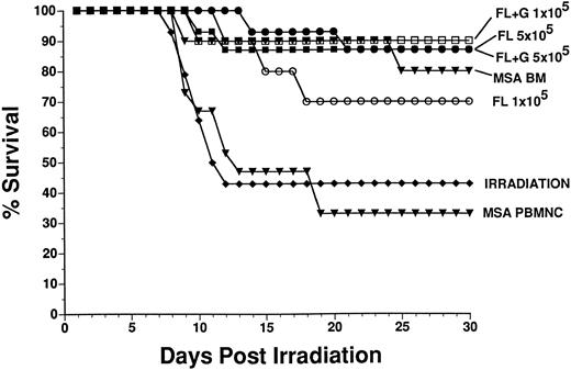 Fig. 3. Survival (30 days) of irradiated recipients (Ly5.1) transplanted with donor (Ly5.2)-derived BM cells or PBMNC from control or FL-treated mice. Donor mice were treated once daily for 10 days with 1 μg MSA (control PBMNC and BM) or MSA plus 10 μg FL SC. Donor PBMNC (5 × 105 or 1 × 105 cells/mouse) or BM (2 × 105 cells/mouse) were injected IV 3 to 4 hours postirradiation into recipient mice (10 to 15 mice per group). There was significantly greater survival from mice reconstituted with control BM and PBMNC (5 × 105 cells) from FL or FL + G-CSF–treated mice when compared with irradiation control or control PBMNC groups (see Results).