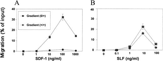 Fig. 1. Differences in chemotactic and chemokinetic activities of SDF-1 and SLF on MO7e cells. Dose-dependent induction of MO7e cell migration into the lower chamber by (A) SDF-1 or (B) SLF in a positive gradient (0/+) or in a zero gradient (+/+) formed by equal concentration of SDF in both chambers.
