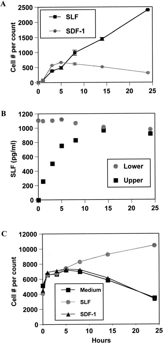 Fig. 2. Kinetics of MO7e cell migration, diffusion of SLF, and survival/proliferation effects of SDF-1 and SLF. (A) MO7e cell migration was monitored during 24 hours at indicated time points after setting initial positive gradients with SDF-1 (100 ng/mL) and SLF (10 ng/mL). Viable cell numbers in the lower chambers were counted and the average and range of duplicate were shown. (B) Diffusion of SLF from the lower chamber to the upper chamber was monitored at indicated time points. SLF (10 ng/mL) was added to the lower chambers of the Transwell system to form a positive gradient. (C) MO7e cells were incubated in 24-well plates containing SLF (10 ng/mL), SDF-1 (100 ng/mL), or medium. At indicated time points, viable MO7e cells were counted (see Materials and Methods for details).