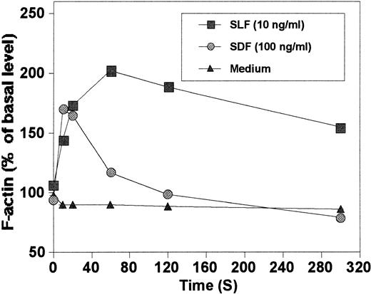 Fig. 3. Actin polymerization in MO7e cells induced by SDF-1 and SLF.