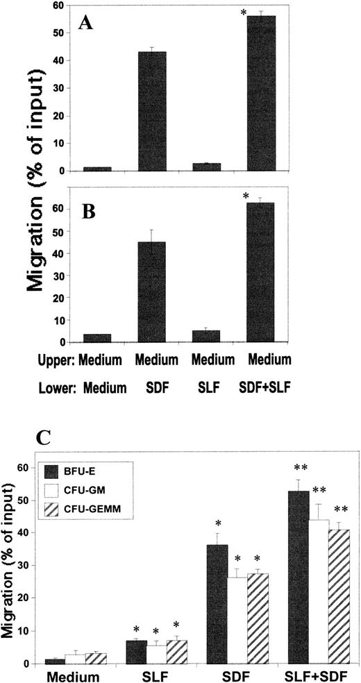 Fig. 5. Combined effects of SDF-1 and SLF on CB CD34+ (A), BM CD34+ (B) and CB HPC cells. Cells migrated into the lower chamber were counted (A and B) or assayed for HPC (C) after the indicated chemoattractants (SDF-1 at 100 ng/mL for part A and B, 50 ng/mL for part C; SLF at 50 ng/mL for part A, B, and C) or control medium were added singly or in combination to either the upper or lower chambers. *Significant difference from controls (second bar to the left for part A and B, and medium for part C,P < .05). **Significant change from migration induced by either SLF or SDF-1 alone, P < .005.