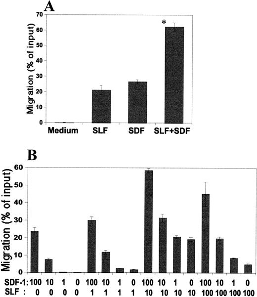 Fig. 6. Combined effects of SDF-1 and SLF on MO7e cells. Migration of cells into the lower chamber after (A) SLF(10 ng/mL) and/or SDF-1 (100 ng/mL) were added to the lower chamber, or (B) SDF-1 and/or SLF were added to the lower chamber in combination at different concentrations (shown in ng/mL). *Significant difference from the second or third bar to the left, P < .05.