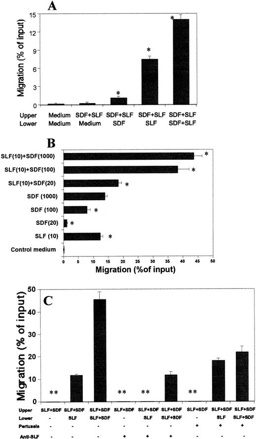 Fig. 9. Model of in vitro mobilization by SDF-1 and SLF. (A) SDF-1 (100 ng/mL) and SLF (10 ng/mL) were added to the upper chamber to form a negative concentration gradient and SDF-1 (100 ng/mL) and/or SLF (10 ng/mL) were added to the lower chamber to mobilize MO7e cells from the upper chamber. (B) The concentration of SDF-1 at a lower concentration (20 ng/mL) with optimal concentration of SLF (10 ng/mL) was added to the upper chamber to form a less severe negative gradient of chemoattractants. SDF-1 at various concentrations (0, 20, 100, and 1,000 ng/mL) and SLF (10 ng/mL) were added to the lower chamber to mobilize the MO7e cells from the upper to the lower chamber. (C) Anti-SLF neutralizing antibody (10 μg/mL) and pertussis toxin (500 ng/mL) were used to respectively inhibit the effects of SLF and SDF-1 on migration of MO7e cells. SLF (10 ng/mL) and/or SDF-1 (100 ng/mL) was added to the lower chamber. SLF (10 ng/mL) and/or SDF-1 (20 ng/mL) was added to the upper chamber. * Designates significant changes from control (P < .02). ** 0% migration.