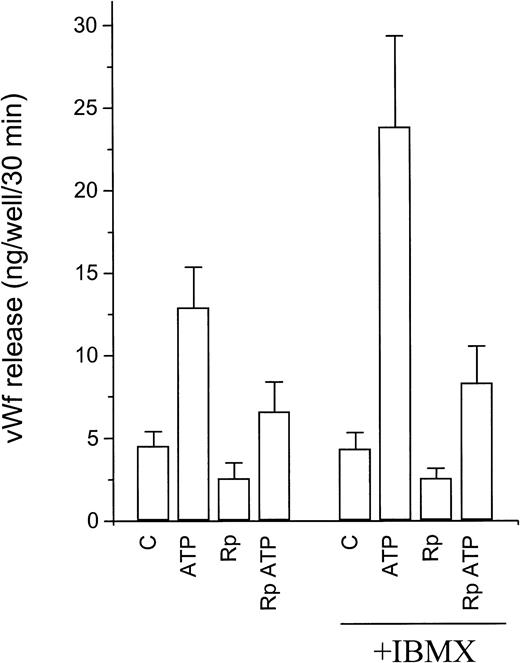 Fig. 6. Effect of protein kinase A inhibition on ATP-induced vWf release. Confluent HUVECs grown on 24-well plates were incubated for 30 minutes in the presence or absence of Rp-8-CPT-cAMPS (Rp). ATP and/or IBMX were then added, and the incubation continued for 30 additional minutes. Results are expressed as vWf released per well during the last 30 minutes. Basal release was calculated as half the vWF released during the 1-hour incubation (assuming continuous constitutive release over 1 hour, see Fig 2). See text for statistical analysis.