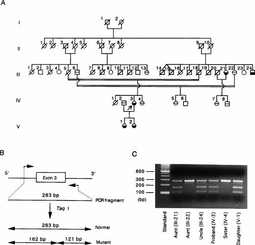 Fig. 2. (A) Pedigree of the family with congenital HRG deficiency.19 Arrow, the proband; £ {, affected subjects with reduced HRG levels; ⊖, subjects with normal HRG levels; □ ∅︀, deceased family members; □ ○, unexplored subjects. (B) PCR-Taq I digestion analysis of normal and mutated exon 3. Normal exon 3 is composed of 283 bp and is not cleaved by Taq I. Mutated exon 3 with 1 Taq I restriction site (TCGA) is cleaved by the enzyme to form 2 fragments, 162 bp and 121 bp. (C) For each family member, exon 3 amplified by PCR was digested with Taq I and subsequently analyzed by electrophoresis on a 2% agarose gel. Lane 1, molecular weight standard; lanes 2 to 7, Taq I digests of exon 3 derived from the proband and 5 of her family members. {/CAPT;;;left;stack}