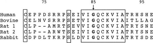 Fig. 4. Amino acid sequences surrounding Gly85 of human, bovine, rat, and rabbit HRG. Residues that are identical in all 5 proteins are blocked. Numbering starts at the N-terminus of human HRG.2