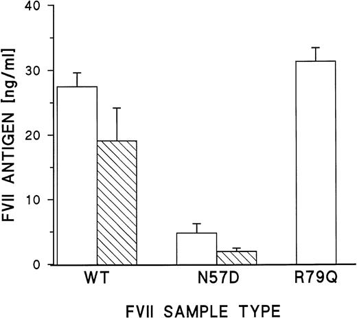 Fig. 3. Quantitation of rFVII proteins after transient expression in mammalian cells. (□) FVII antigen concentration in conditioned media from transfected 293 cells; (▧) FVII antigen expressed by COS cells. FVII (R79Q) was expressed in 293 cells only. Error bars represent the standard error of the mean.