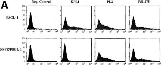 Fig. 2. KPL1 recognizes the tyrosine sulfation motif of PSGL-1. (A) 300.19 cells were transiently transfected with either full length PSGL-1 (top) or a mutated form of PSGL-1 referred to as FFFE/PSGL-1 (bottom) in which the tyrosines at positions 5, 7, and 10 were replaced with phenylalanine. Twenty-four hours posttransfection, the 300.19 cells were stained with either a negative control antibody, KPL1, PL2, or PSL275. PL2 and PSL275 recognize both the full length and mutated form of PSGL-1, whereas KPL1 was able to interact with full length PSGL-1 but did not recognize FFFE/PSGL-1. (B) Arylsulfatase treatment of whole cell lysates abrogates binding of KPL1. Whole cell lysates were prepared as described in Materials and Methods and treated with 1U of arylsulfatase, and Western blotting was performed as described for Fig 1, using KPL1 (left) or PL2 (right).