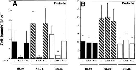 Fig. 3. KPL1 inhibits the binding of HL60 cells, neutrophils, and PBMCs to P-selectin but not E-selectin expressing COS cells in a low shear adhesion assay. (A) Adhesion of HL60 cells (▪), neutrophils (▧), and PBMC (□) to COS cells transiently transfected with P-selectin was performed as described in Materials and Methods. All three cell types adhered well to P-selectin. KPL1 almost completely blocked these interactions, whereas a control antibody had no effect on adhesion. (B) HL60 cells (▪), neutrophils (▧) and PBMC (□) bound well to E-selectin, but neither KPL1 nor a control antibody inhibited adhesion to E-selectin expressing COS cells. Values are mean ±SD; one of at least five experiments.